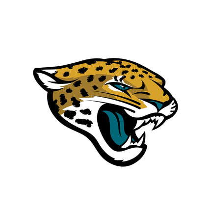 Collection image for: Jacksonville Jaguars