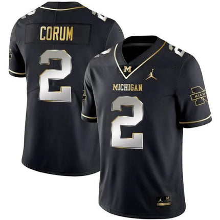 Youth's Michigan Wolverines Vapor Collection Limited Jersey – All Stitched