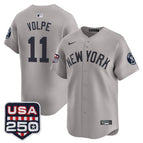 Gray / Anthony Volpe / S