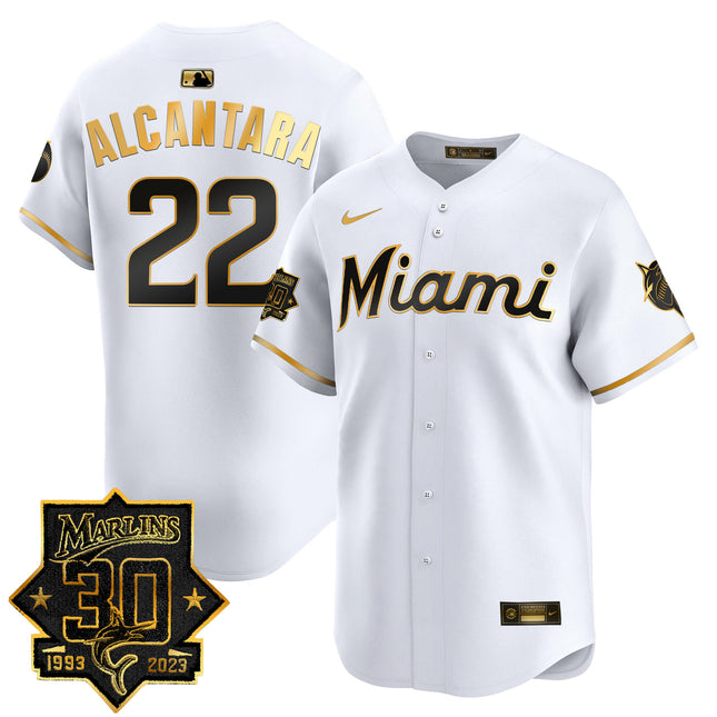 Men's Miami Marlins 30 Seasons Anniversary Patch Vapor Premier Limited Jersey ?All Stitched