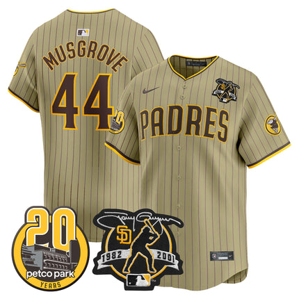 Men's Padres Tony Gwynn & Petco Park 20th Patch Vapor Premier Limited Jersey - All Stitched