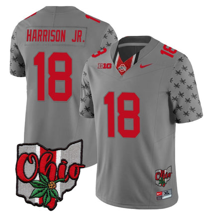 Men's Ohio State Buckeyes 2023 Gray Alternate Jersey V2 - Stitched